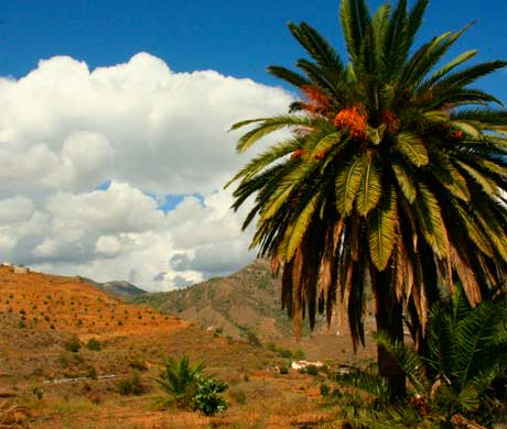 Enduro Spain